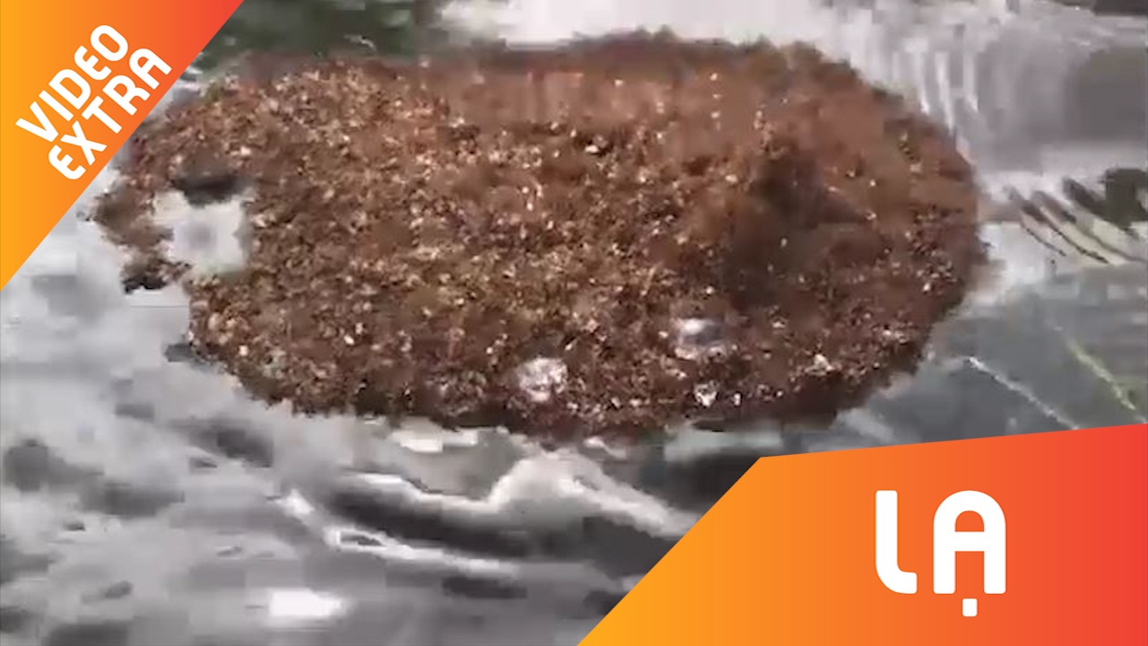 Kien lua ket be khong lo troi noi trong sieu bao Florence, My hinh anh