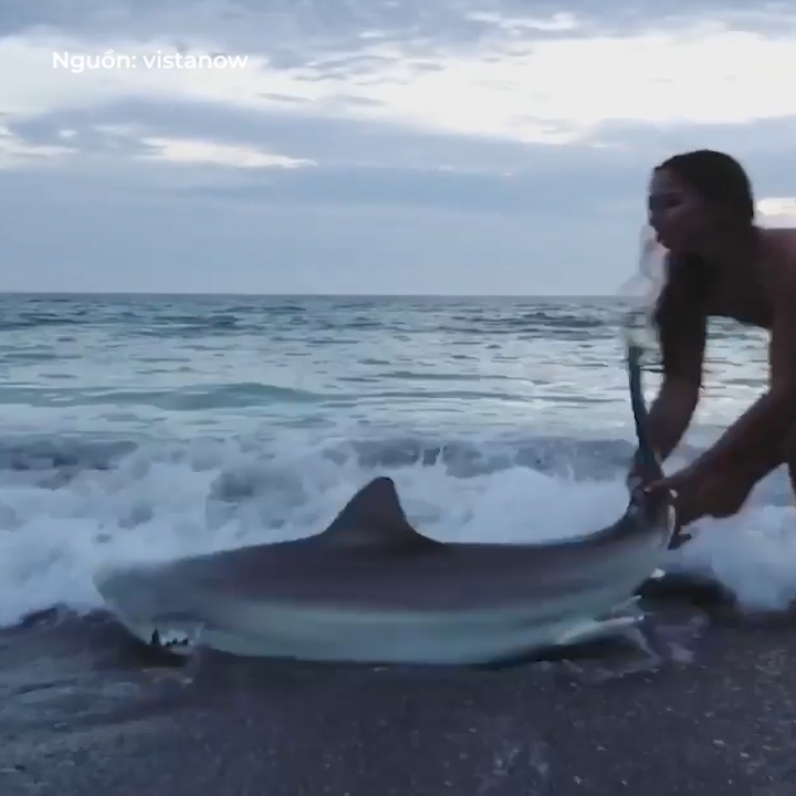 Co nang lieu linh keo ca map trang mac ket ve bien hinh anh