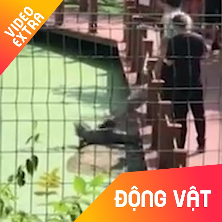 Du khach Trung Quoc hanh ha ca sau chi de chup anh hinh anh