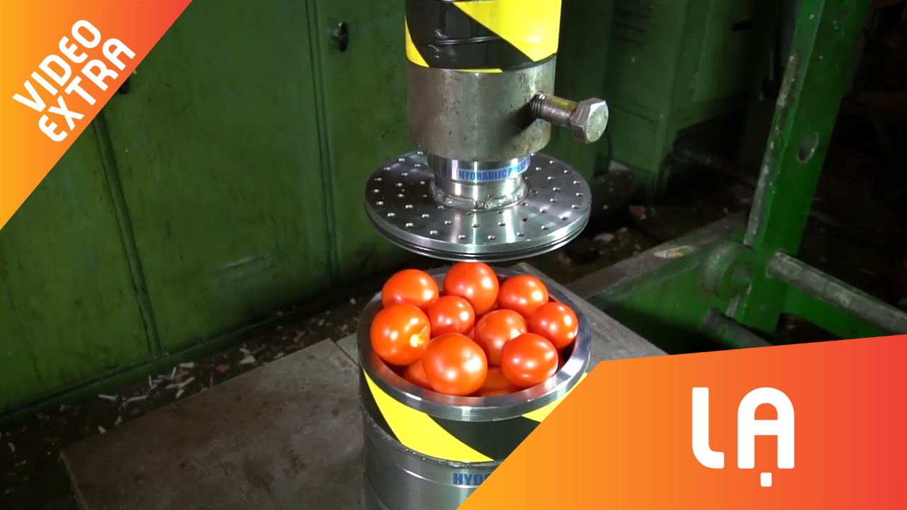 Hoa qua ban tu tung duoi suc ep 150 tan cua may ep thuy luc hinh anh