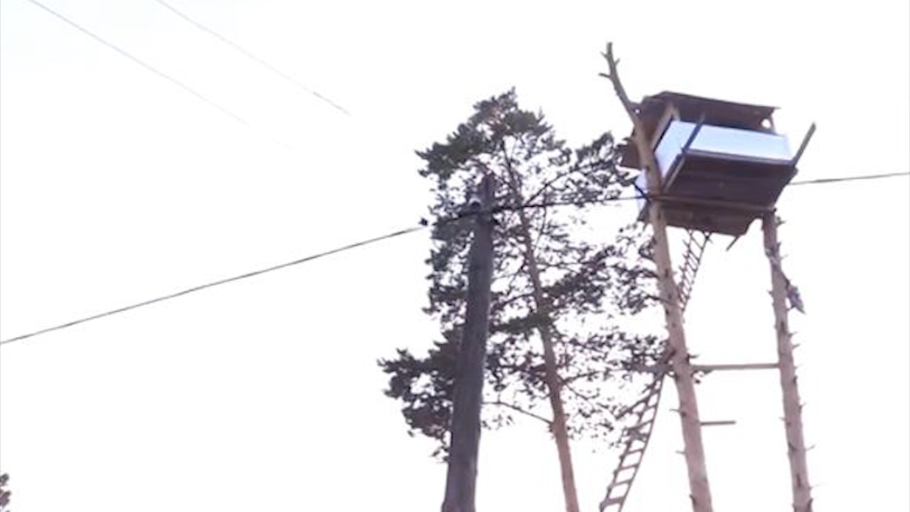 Xay nha tren ngon cay nha hang xom de tra thu hinh anh