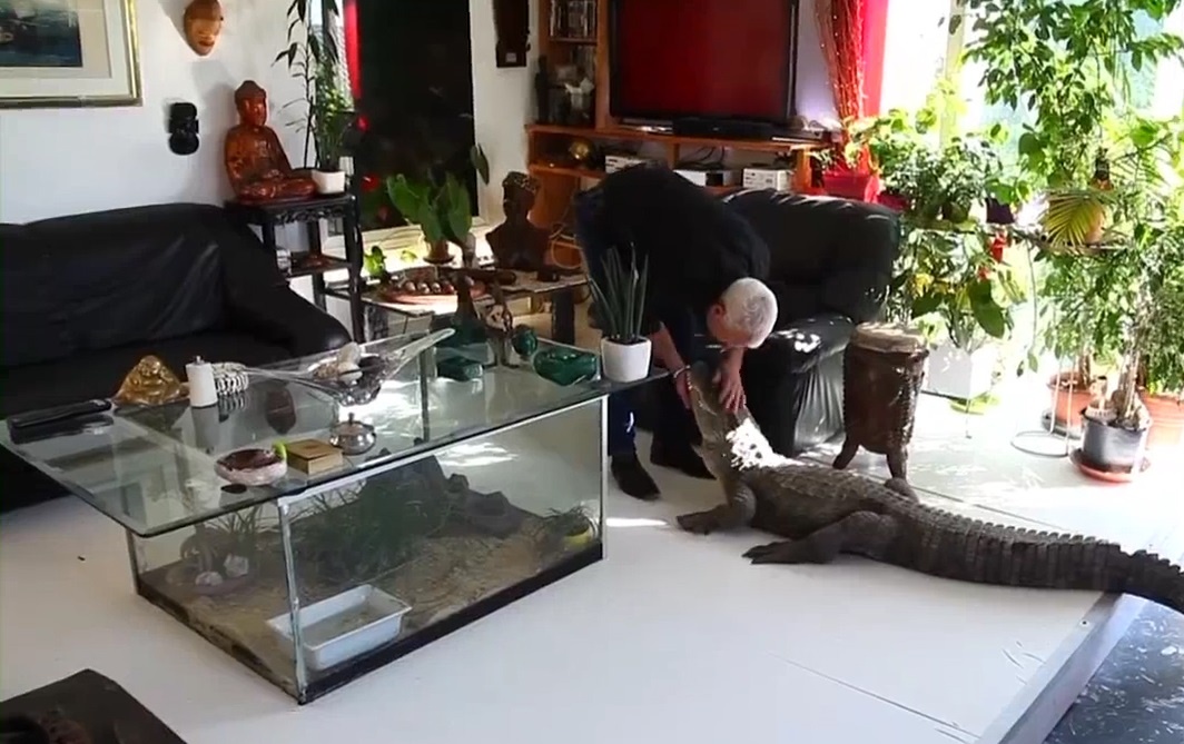 Nguoi dan ong nuoi ca sau, ran chuong, nhen doc trong nha nhu thu cung hinh anh