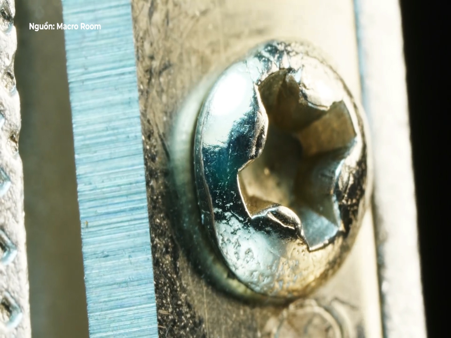 Vat dung thuong ngay dep nhu tranh duoi kinh hien vi hinh anh