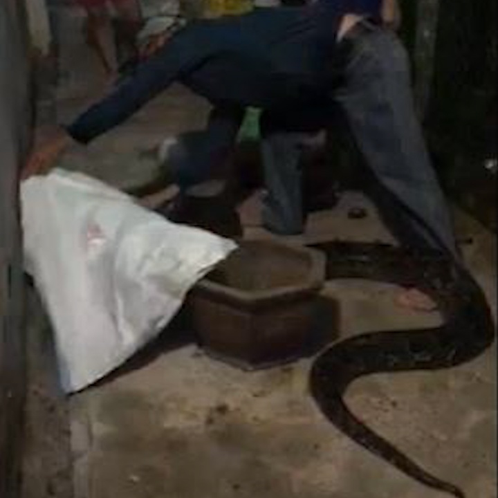 Tom gon tran 'khung' bo vao nha dan luc nua dem o Binh Duong hinh anh