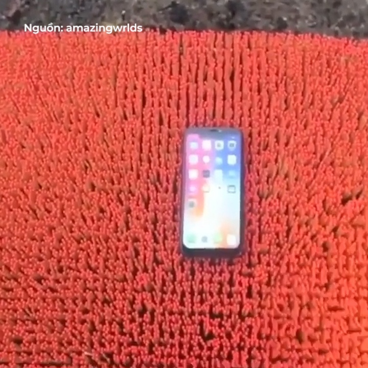 Thu nghiem dot iPhone X tren 10.000 que diem hinh anh