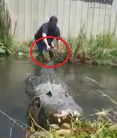 Nguoi dan ong suyt bi can khi nam duoi ca sau keo di hinh anh