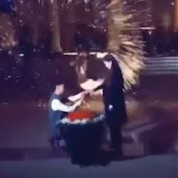 Nhung man cau hon lang man khien co gai phai dong y ngay hinh anh