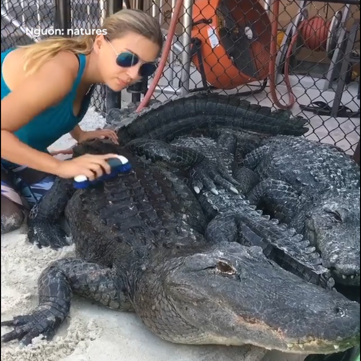 Co gai tu tin cha lung, ve sinh cho ca sau hinh anh