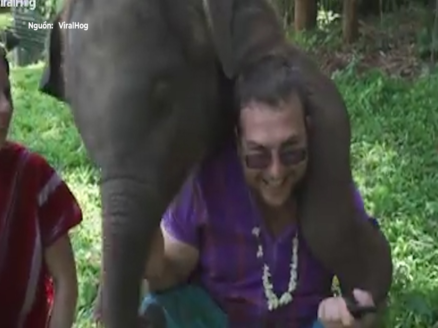 Chu voi lam nung khien du khach choi voi vi nang hinh anh