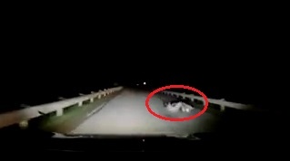 Xe may tu nga nhao ra duong, suyt bi oto dam trung hinh anh