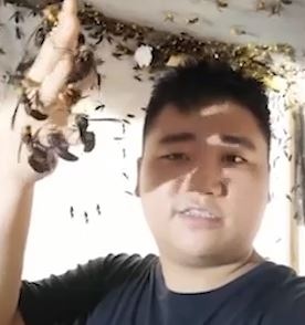 Dung tay khong cam ca nam ong bap cay co the dot chet nguoi hinh anh