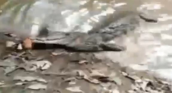 Ca chinh phong dien, giat chet ca sau tai cho hinh anh