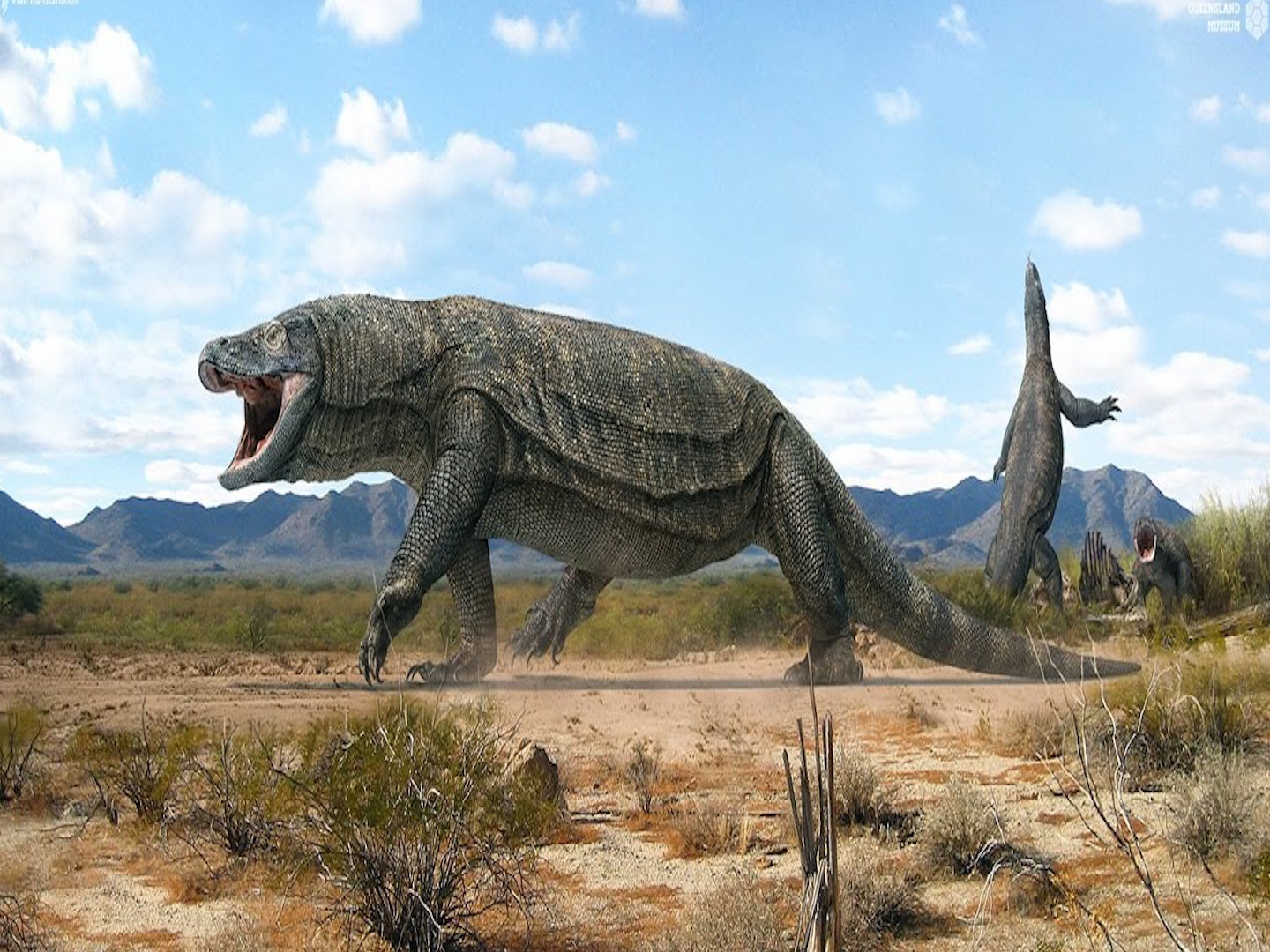 To tien dang so cua cac sinh vat ngay nay hinh anh