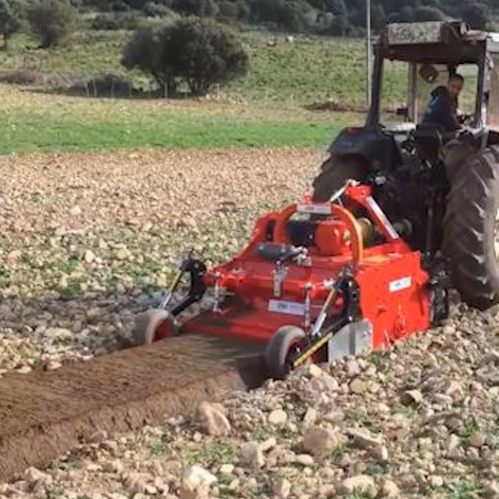 Cach bien bai da thanh dat trong, chi trong nhay mat hinh anh