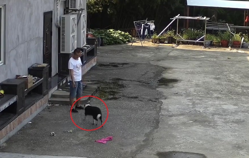 Duoc 'hoi lo' do an, cho nha vay duoi quan quyt ke trom o Trung Quoc hinh anh