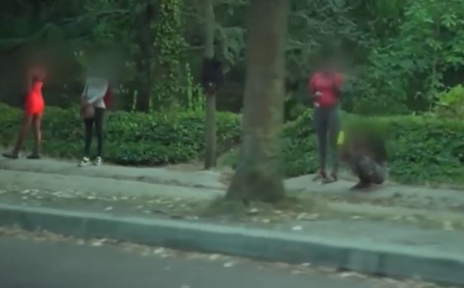 Bi mat den toi sau cong vien lon nhat Paris hinh anh