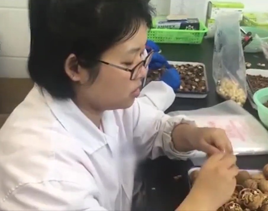 Nghe ngoi an vat ca ngay kiem 10.000 nhan dan te/thang o Trung Quoc hinh anh