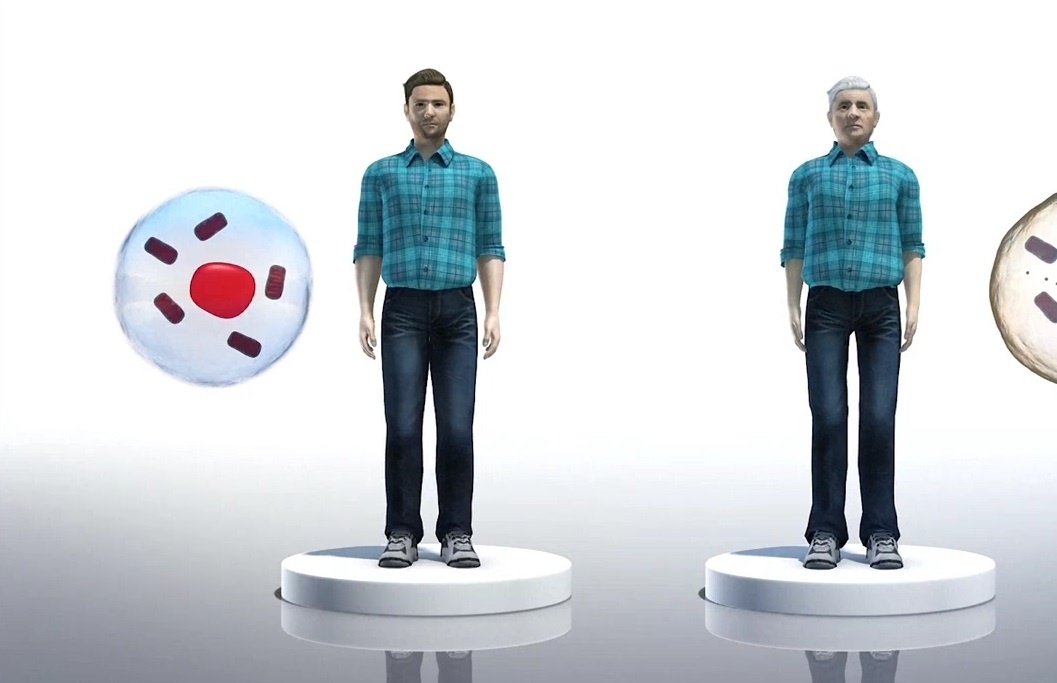 Cac nha khoa hoc My phat hien ra chat giup 'tre mai khong gia' hinh anh