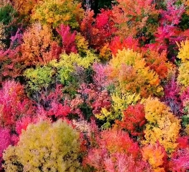 Sac mau ruc ro cua mua thu o Vermont, My hinh anh