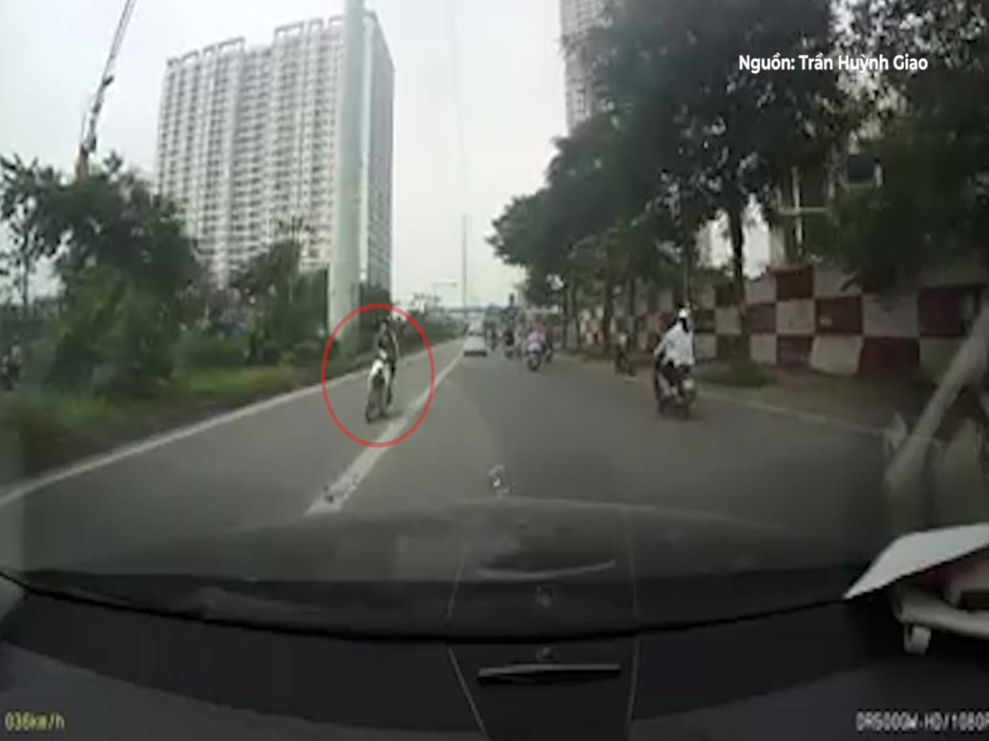 Thanh nien di nguoc chieu, suyt tong thang xe bus BRT hinh anh