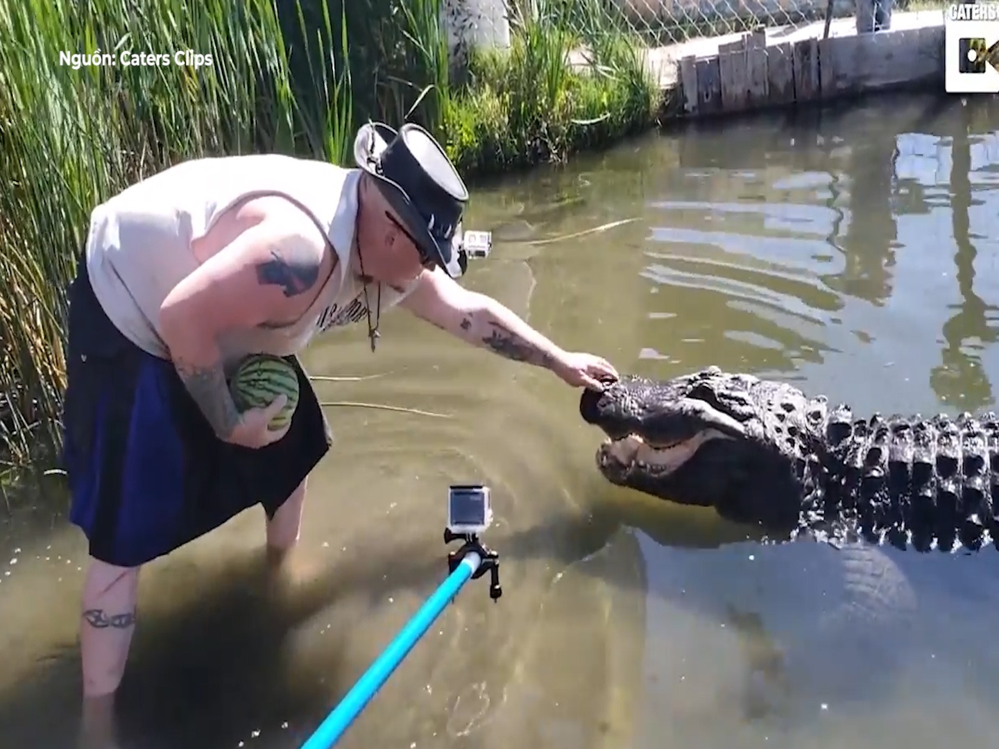 Nguoi dan ong dung tay khong cho ca sau an dua hau hinh anh