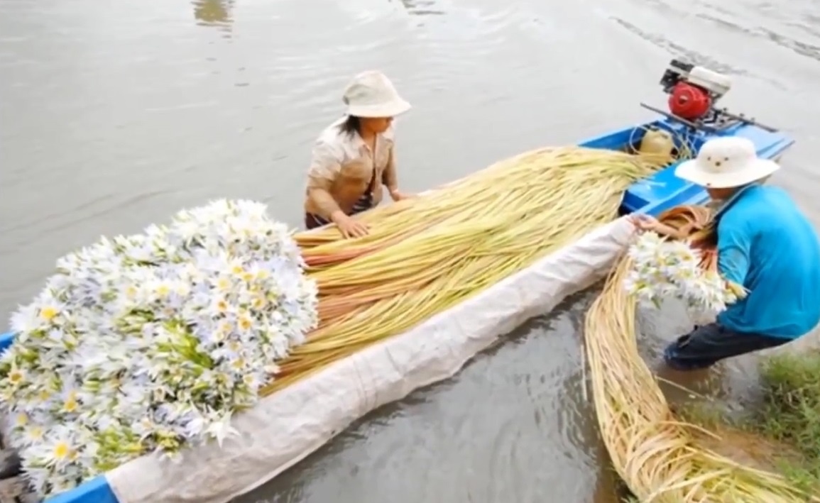 Mua nuoc lu, dan mien Tay no nuc sang Campuchia hai bong sung ve ban hinh anh