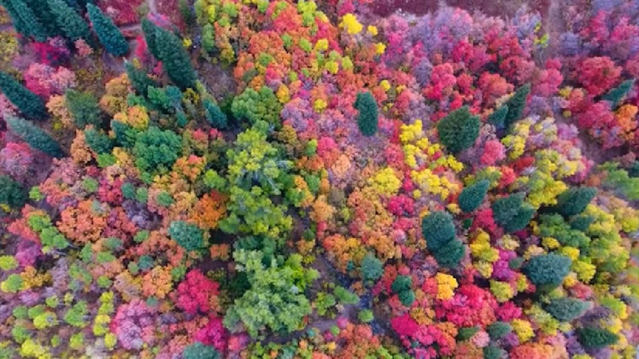 Mau sac ruc ro cua mua thu o mien bac Utah, My hinh anh