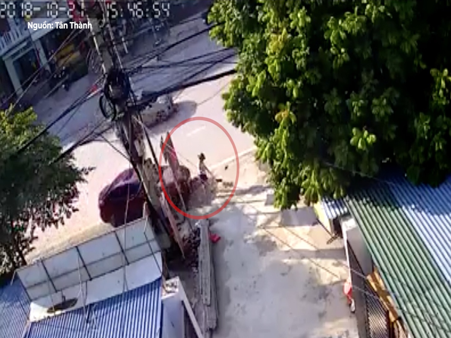 Nguoi phu nu bi xe dam khi dang quet duong hinh anh