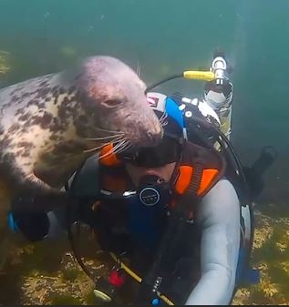 Tho lan vuot ve su tu bien nhu thu canh duoi dai duong hinh anh