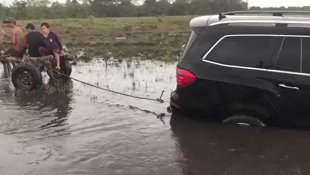 Dam dong hop suc dung trau keo oto bi roi xuong ruong hinh anh