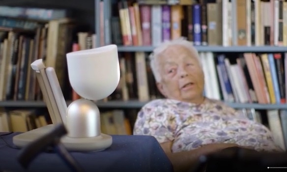 An huong tuoi gia nho robot giai quyet noi co don hinh anh