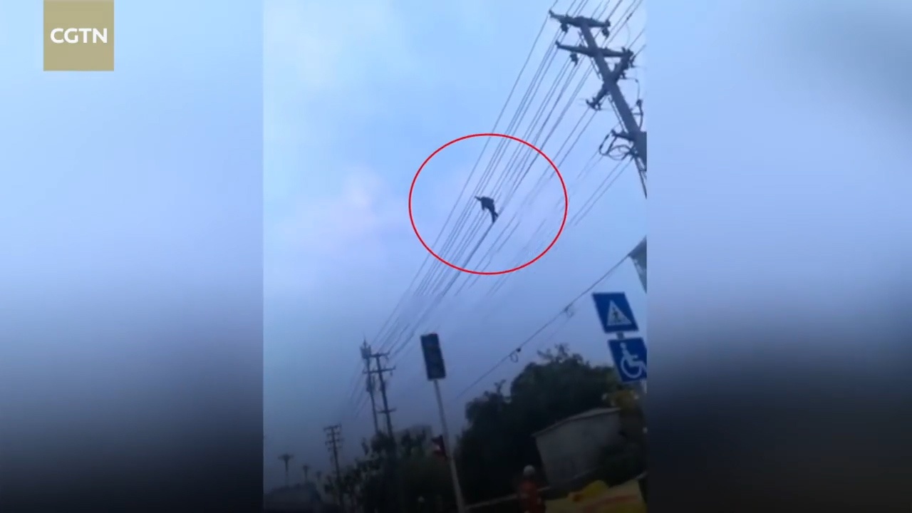 Nguoi dan ong say xin, than nhien di bo tren day dien cao the hinh anh