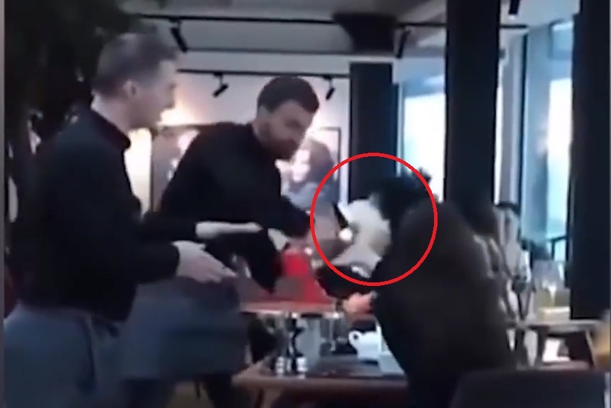 Boi ban uc che dap ca banh kem vao mat thuc khach o Ukraine hinh anh