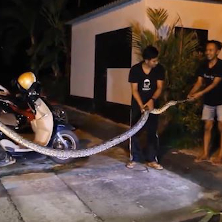 Nhung lan xuat hien dang so cua tran quanh khuon vien nha hinh anh