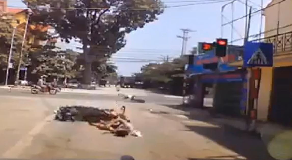 Vuot den do, dam thang vao duoi xe may dang qua duong hinh anh