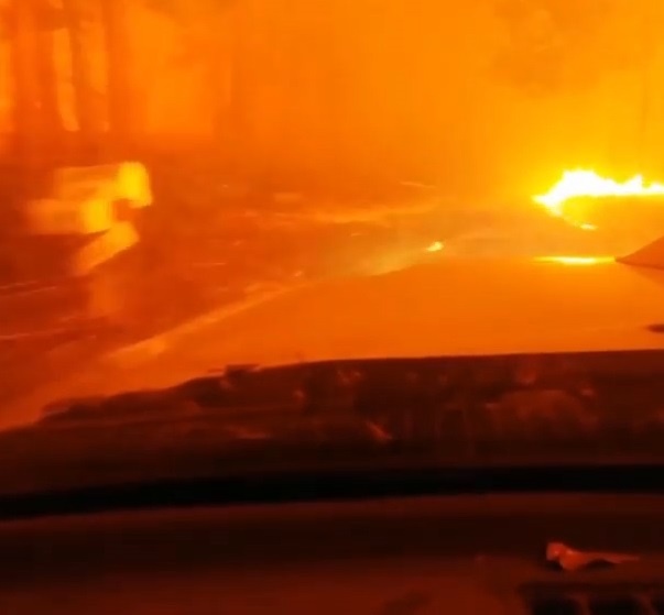 Tai xe lai oto lao qua bien lua, chay khoi dam chay rung o My hinh anh