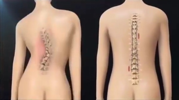 Doan clip se khien ban muon ngoi thang lung hinh anh