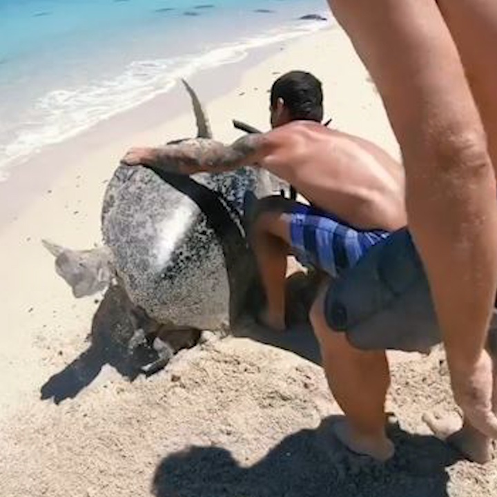 Nguoi dan ong cuu rua mac ket o bai bien Australia hinh anh