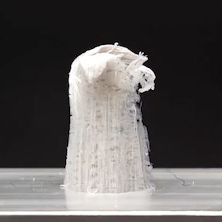 'Quai vat' xuat hien khi thuy ngan phan ung voi nhom hinh anh