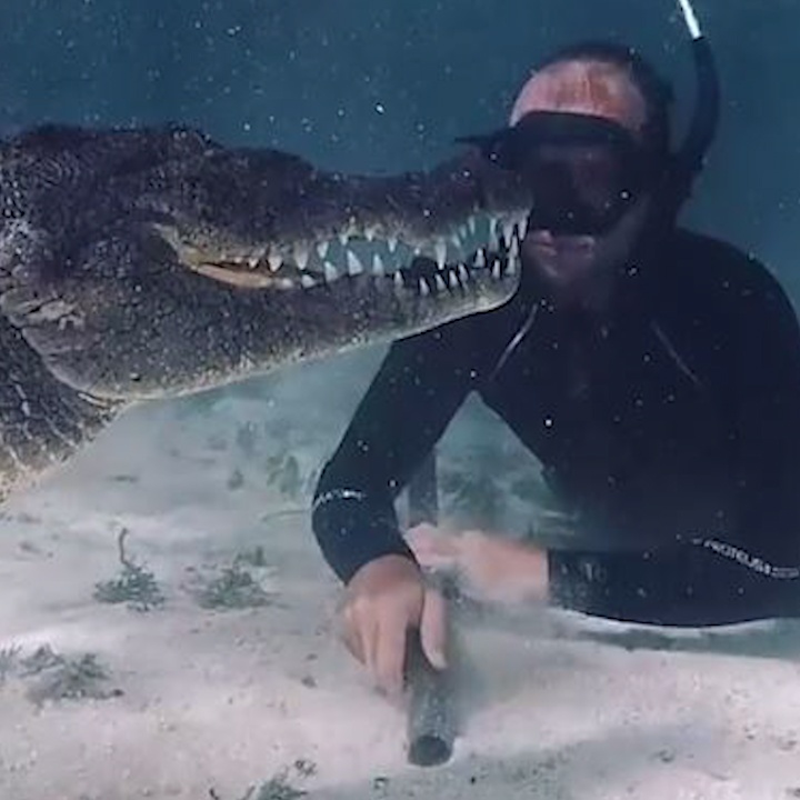 Tho lan quay lai canh phim boi cung ca sau o Mexico hinh anh