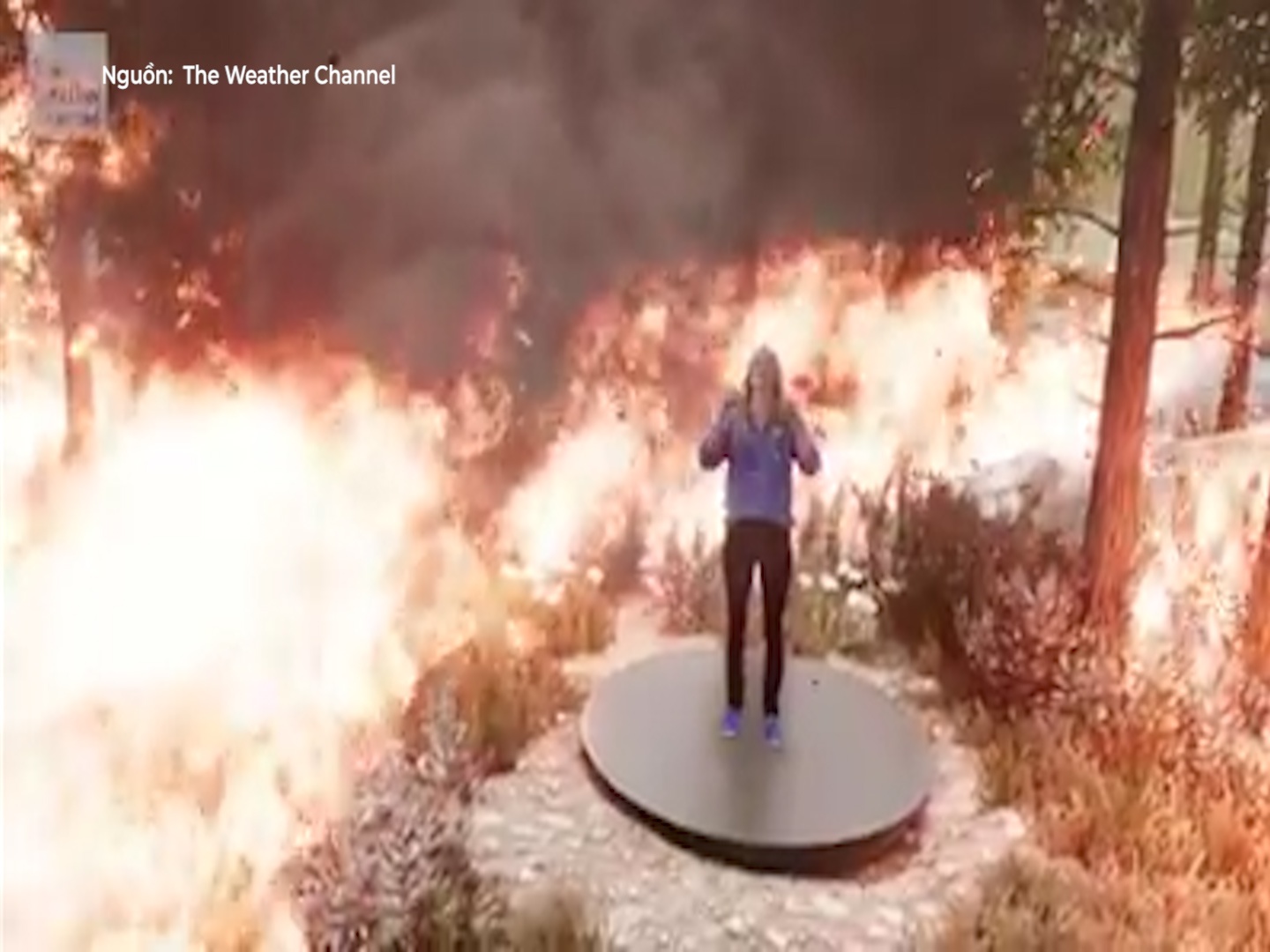 Du bao tham hoa chay rung bang cong nghe 3D hinh anh