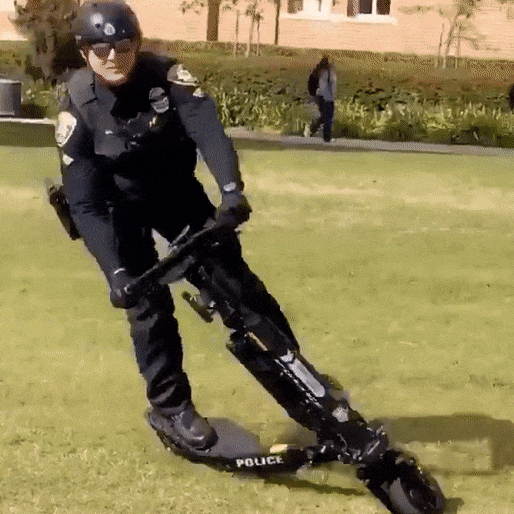 Vien canh sat My nga sau khi lang lach voi xe can bang hinh anh