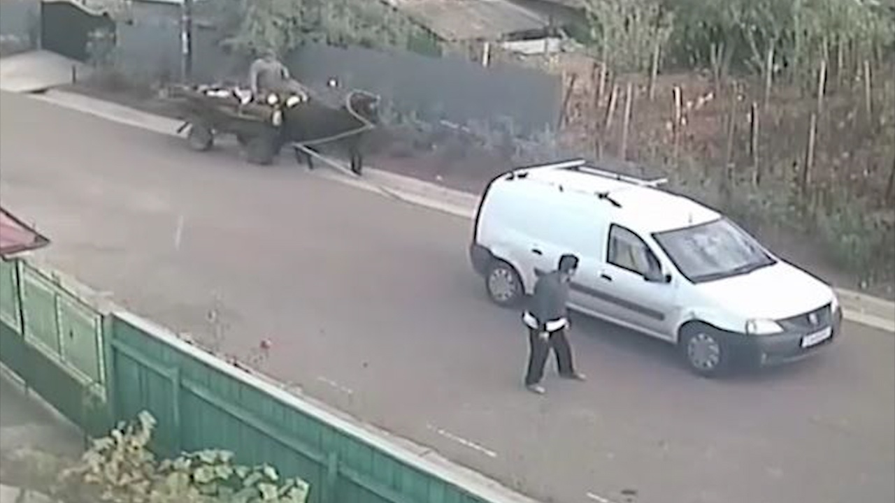 Tai nan hai huoc khi cho xe ngua chay bang dong co oto o Romania hinh anh