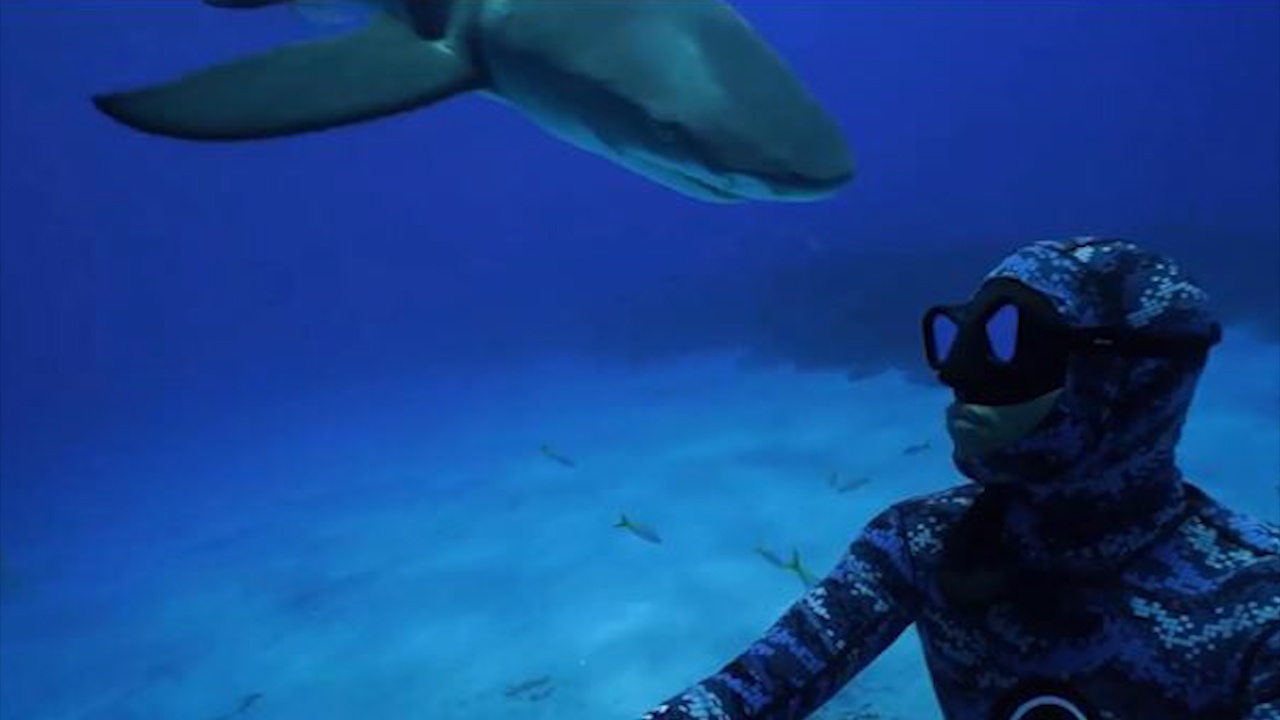 Ca map cung dau tho lan duoi day bien hinh anh