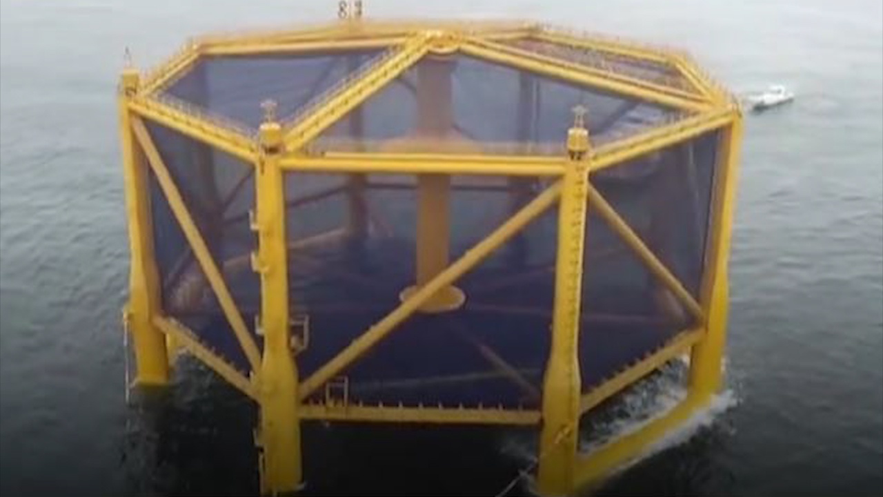 Long nuoi ca hoi duoi bien sau lon nhat the gioi cua Trung Quoc hinh anh