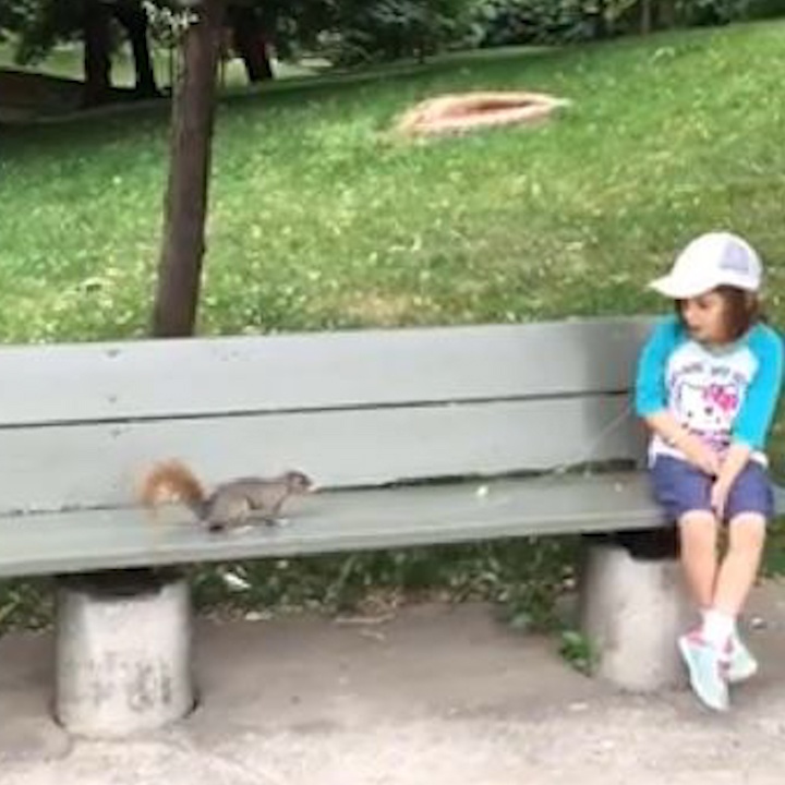 Cha chi cach nho rang sua cua be gai bang con soc hinh anh