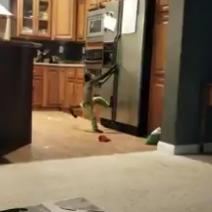 Khi luc tu lanh de kiem kem an khi ca nha dang ngu hinh anh