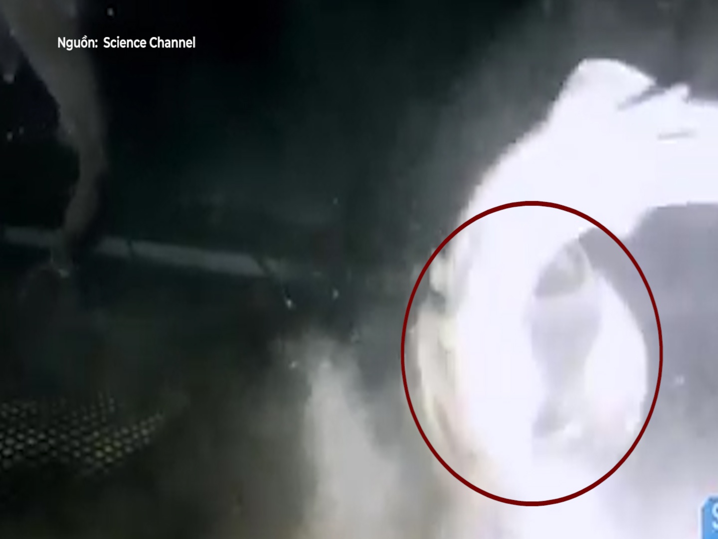 Sinh vat tien su xoi tai ca map trang trong nhay mat hinh anh