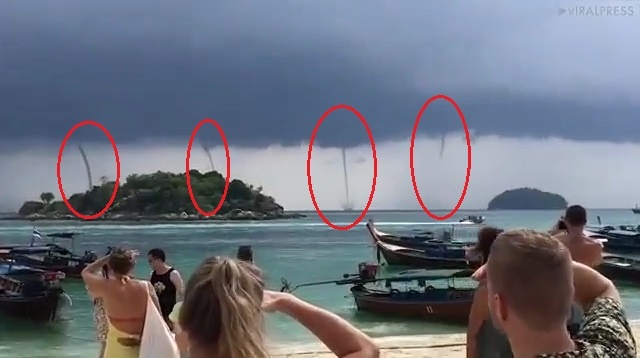 4 voi rong xuat hien cung luc ngoai khoi bien Thai Lan hinh anh