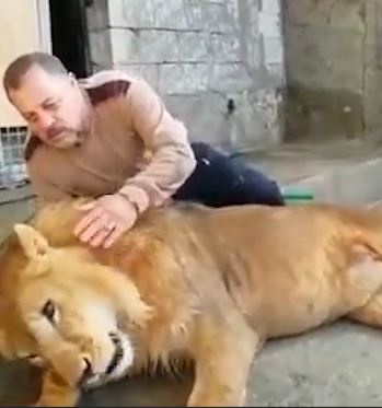 Vo tinh dap vao dau su tu, nguoi dan ong suyt mat mang hinh anh